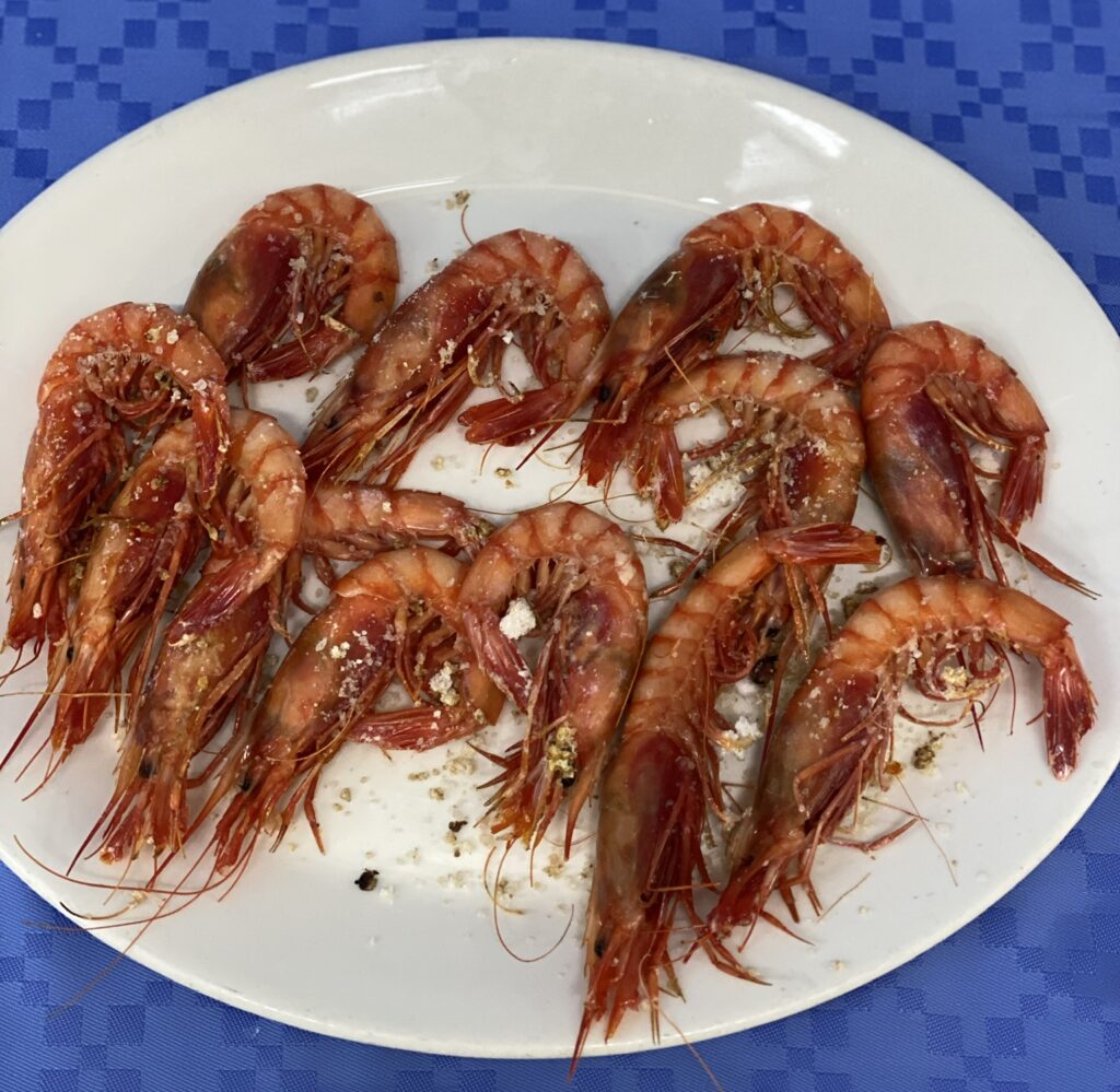 Gamba roja