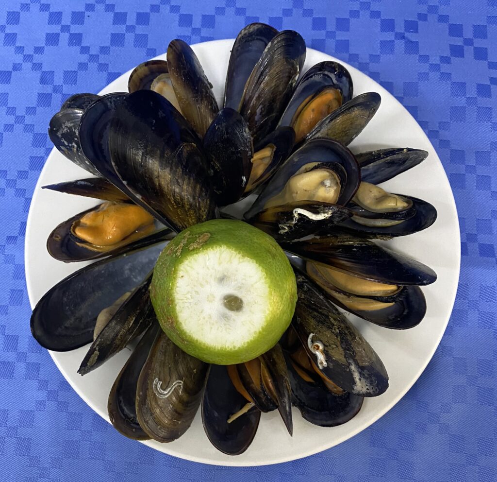 Mejillones